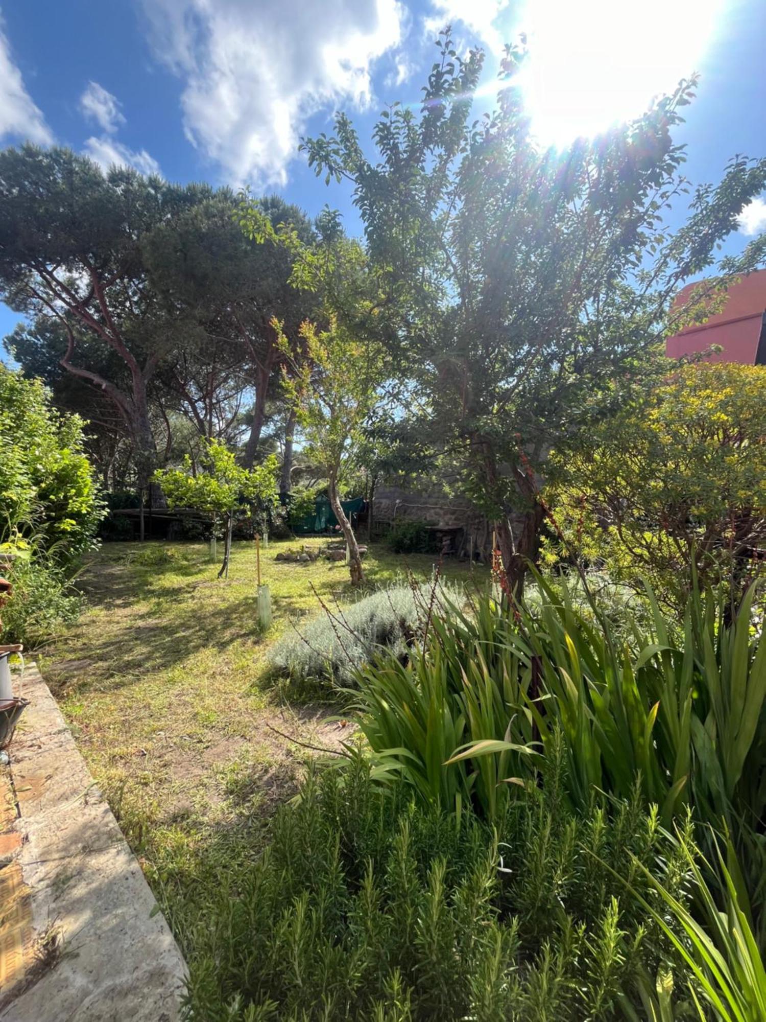 Casa Vista Castello Villa Capraia Eksteriør billede