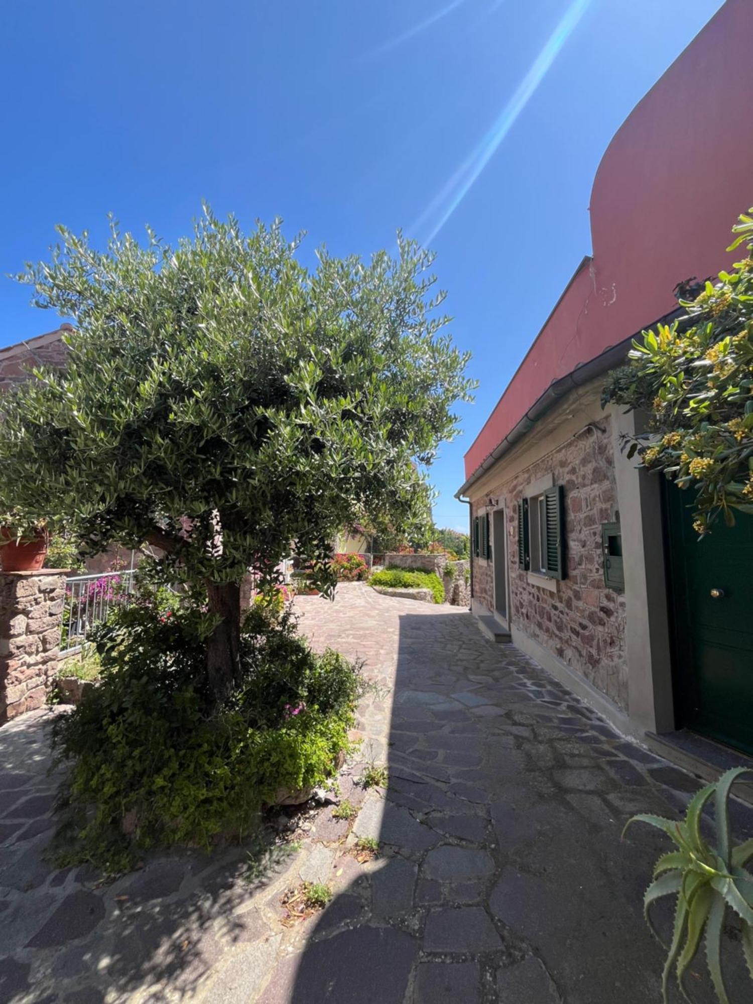 Casa Vista Castello Villa Capraia Eksteriør billede